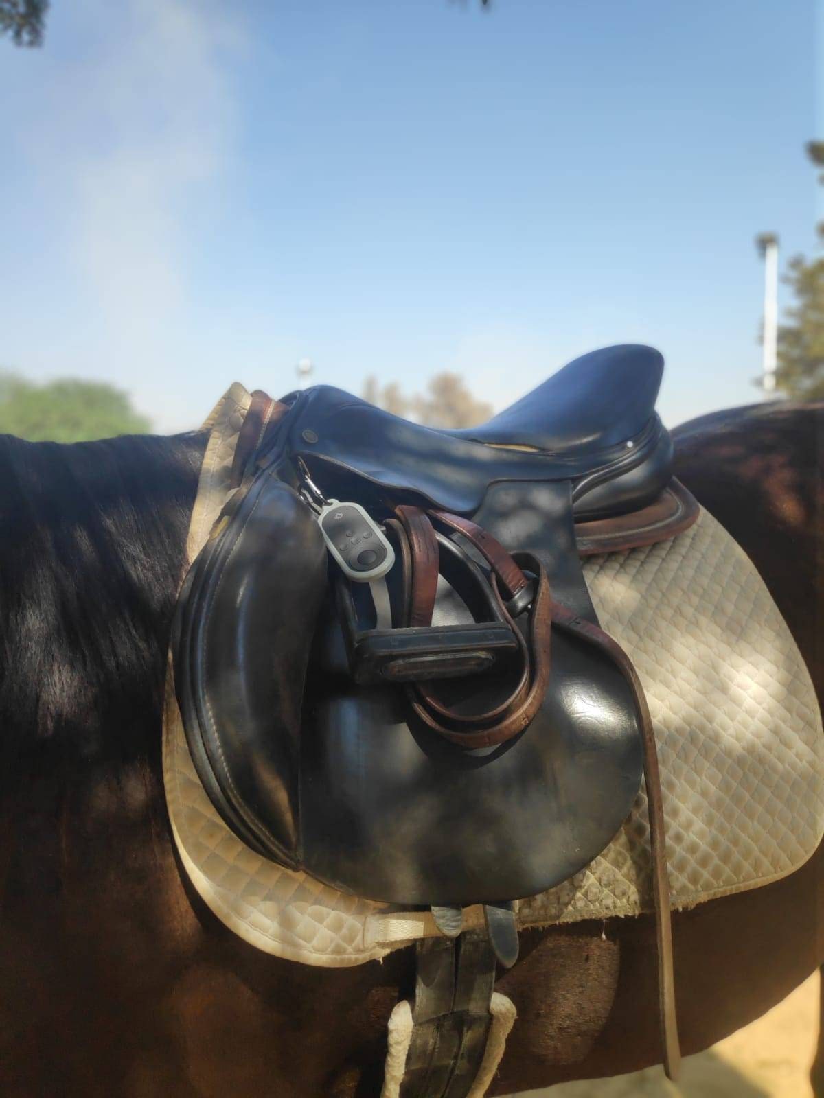 Pivo Horse Equestrian Remote Control Holder Protection Bumper Cover Case 10 year warranty!